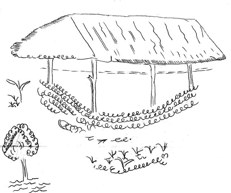 Man Bingam Kalefe Dodofon 6