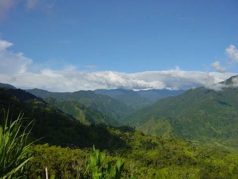 Finongan nulum it ginang dafele falan