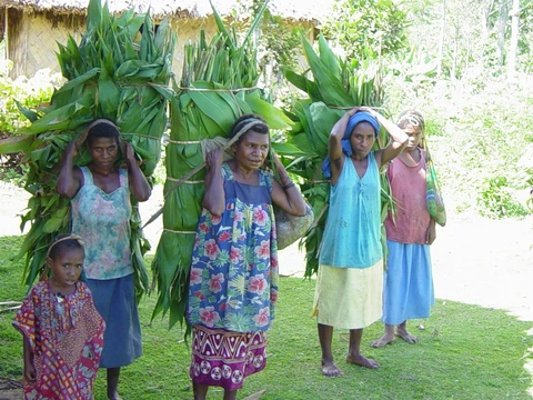 Itsak fede it tenen mepmet