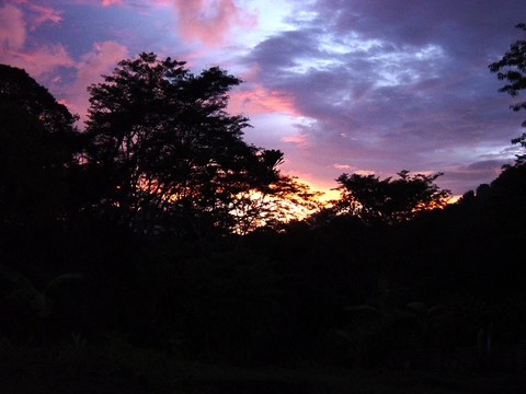 Bakame mele ofosibisak